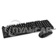 Комплект клавиатура + мышь ExeGate Professional Standard Combo MK110-OEM (клавиатура влагозащищенная 104кл. + мышь оптическая 1000dpi, 3 кнопки и колесо прокрутки; USB, длина кабелей 1.5м, черный, RTL)