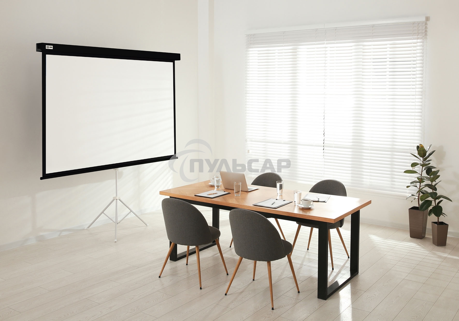 Экран Cactus 149.4x265.7см Wallscreen CS-PSW-149X265-BK 16:9 настенно-потолочный рулонный черный