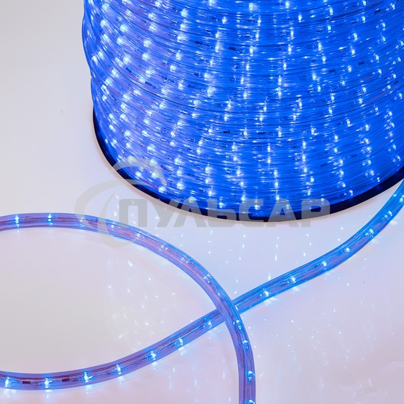 Дюралайт Neon-night LED, постоянное свечение (2W) - синий Эконом 24 LED/м, бухта 100м