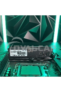 Оперативная память Patriot Signature, DDR5, 8Gb (1x8 Gb), 5200 MHz, CL42, DIMM