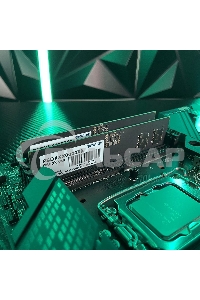 Оперативная память Patriot Signature, DDR5, 8Gb (1x8 Gb), 5200 MHz, CL42, DIMM