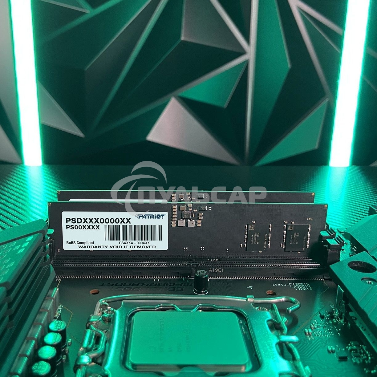 Оперативная память Patriot Signature, DDR5, 16Gb (1x16 Gb), 5600 MHz, CL46, DIMM