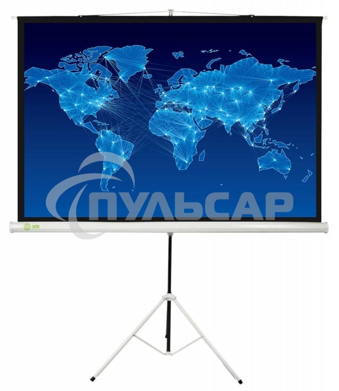 Экран Cactus 150x150см Triscreen CS-PST-150x150 1:1 напольный рулонный белый