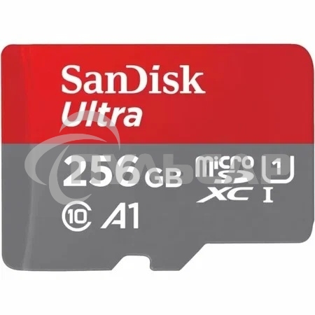 Флеш карта SDXC 256Gb UHS-I SDSDUNR-256G-GN3IN SANDISK