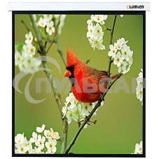 Экраны LUMIEN LUMIEN Master Picture LMP-100129 220*220 1:1, черная кайма по периметру