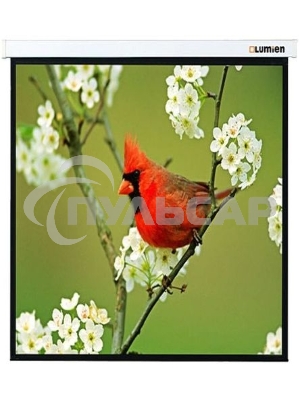 Экраны LUMIEN LUMIEN Master Picture LMP-100129 220*220 1:1, черная кайма по периметру
