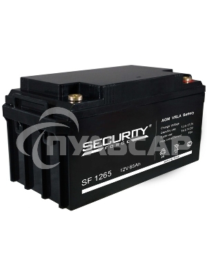 Батарея Delta Security Force SF 1265