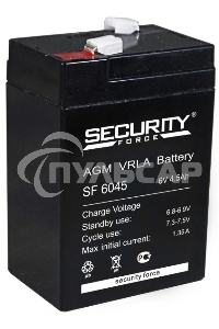 Батарея Delta Security Force SF 6045 (6V 4.5Ah)