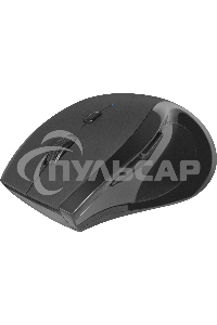 Мышь беспроводная Defender Accura MM-295 черный, 1600 dpi, радиоканал, USB, кнопки - 6