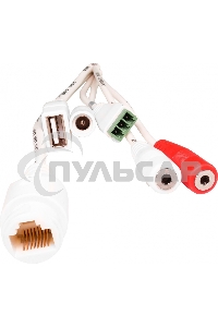 Видеокамера IP Trassir TR-D2123IR6 2.7-13.5мм цветная