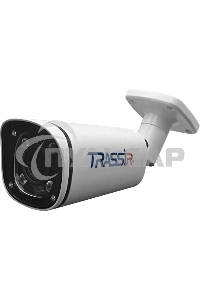 Видеокамера IP Trassir TR-D2123IR6 2.7-13.5мм цветная