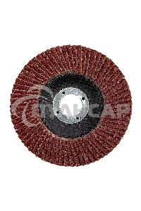 Круг лепестковый торцевой Matrix, P 24, 125 х 22,2 мм