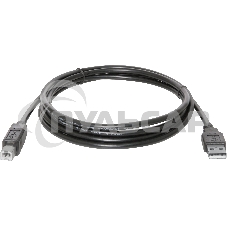 Кабель USB Defender USB04-10 USB2.0 AM-BM, 3.0м