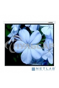 Экран Lumien 280x202см Master Picture LMP-100117 16:9 настенно-потолочный рулонный