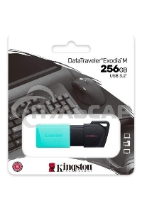 Флешка USB Kingston 256 Gb DataTraveler DTXM DTXM/256 Gb USB 3.2 черный/зеленый