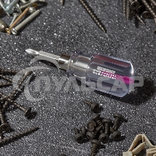 Отверткакомбинированная, прозрачная рукоятка,двухсторонний стержень 40 мм (крестовая PH 2, шлицевая SL 6 мм) Rexant