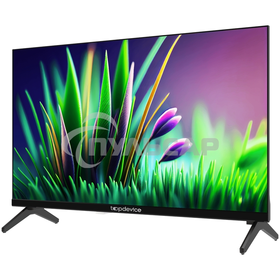 Телевизор TopDevice 24