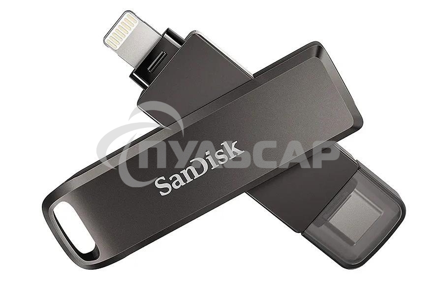 Флешка USB Sandisk USB3 128 Gb SDIX70N-128G-GN6NE