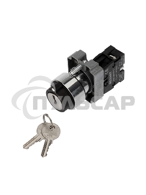 Переключатель BD21 2P с замком NO Rexant