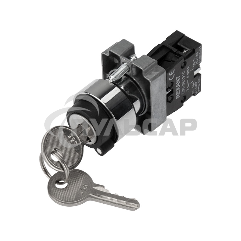 Переключатель BD21 2P с замком NO Rexant