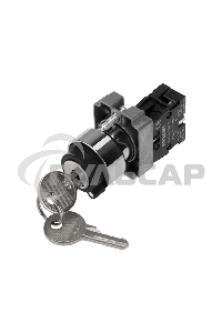 Переключатель BD21 2P с замком NO Rexant