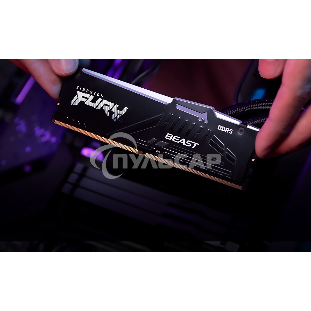 Оперативная память Kingston Fury Beast, DDR5, 16Gb (1x16GB), 6000MHz, CL36, DIMM, с радиатором, RGB, черный