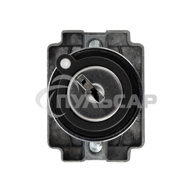 Переключатель BD21 2P с замком NO Rexant