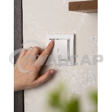 Выключатель 2-клавишный СП,10А, белый EKF Basic Минск