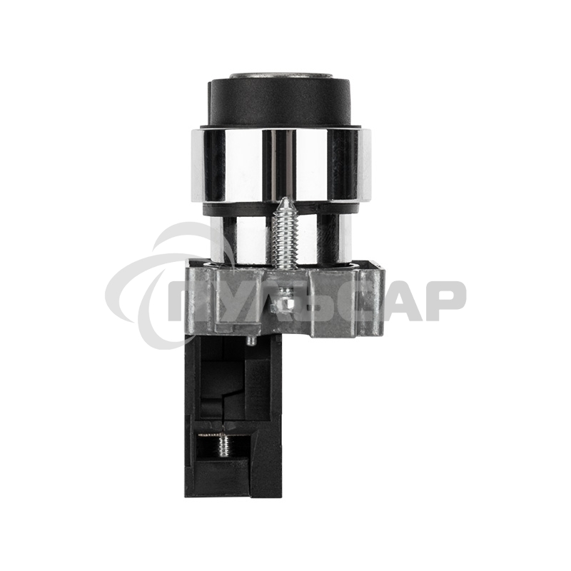 Переключатель BD21 2P с замком NO Rexant