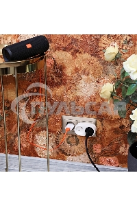 Двойник электрический 6А без заземления, белый Rexant