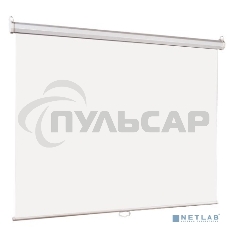 Настенный экран Lumien Eco Picture 206х274см (рабочая область 198х266 см) Matte White прямоуголный корпус, возможность потолочн./настенного крепления, уровень в комплекте, 4:3