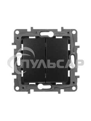 Выключатель двухклавишный, автоматические клеммы, Etika, 10AX, 250В~, антрацит Выключатель двухклавишный, автоматические клеммы, Etika, 10AX, 250В~, антрацит