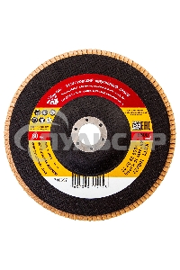 Круг лепестковый торцевой КЛТ-1, зернистость Р 80, 180 х 22,2 мм Россия