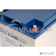 Аккумуляторная батарея БАСТИОН SKAT SB 1240S (Код товара: 8971)