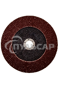 Круг лепестковый торцевой КЛТ-1, зернистость Р 80, 180 х 22,2 мм Россия