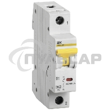 Выключатель автоматический однополюсный ВА47-60M 6А C 6кА MVA31-1-006-C IEK