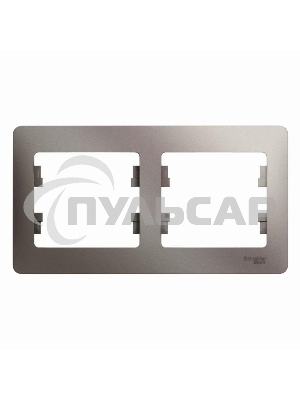 Рамка 2-м Glossa горизонт. платина SchE GSL001202