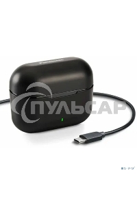 Наушники вкладыши Panasonic RZ-B110WDG-K