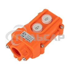 Пульт кнопочный Rexant ПК-2 на 2 кнопки IP54