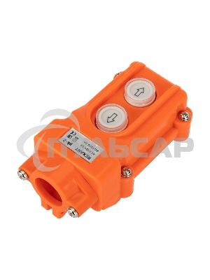 Пульт кнопочный Rexant ПК-2 на 2 кнопки IP54