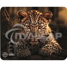 Коврик для мыши Cactus Leopard 250x200x3мм (CS-MP-D06S)