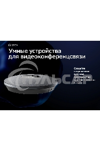 Микрофон Sber SDMIC-001