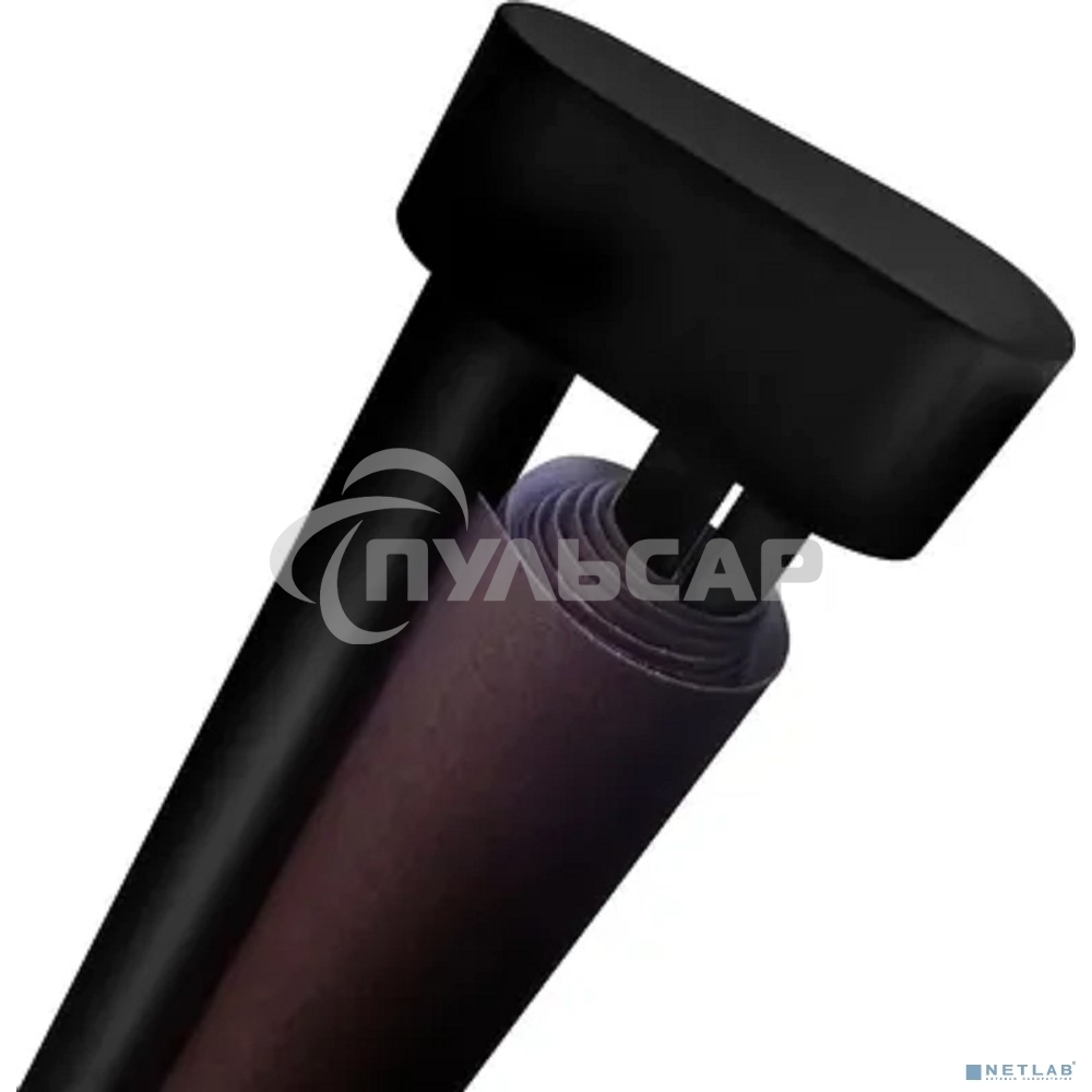 Экран Cactus 180x180см Map type CS-PSRM-180x180-BK 1:1 настенно-потолочный рулонный черный