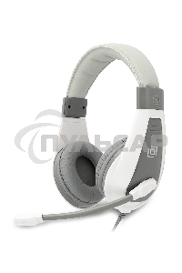 Наушники с микрофоном Oklick/Оклик HS-L600 серый 1.8м мониторные оголовье (1532023)