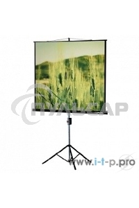 Экраны LUMIEN Lumien Экран на треноге 180x180 см Eco View LEV-100102 1:1 с возможностью настенного крепления