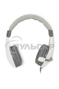 Наушники с микрофоном Oklick/Оклик HS-L600 серый 1.8м мониторные оголовье (1532023)