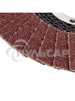 Круг лепестковый торцевой, конический, Р 60, 125 х 22,2 мм Сибртех