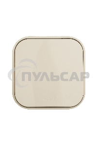 Выключатель 10A 1-клав., сл. кость Quteo