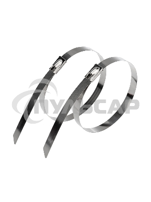 Хомут-стяжка стальная Rexant 300x7,9 мм, упаковка 10 шт.