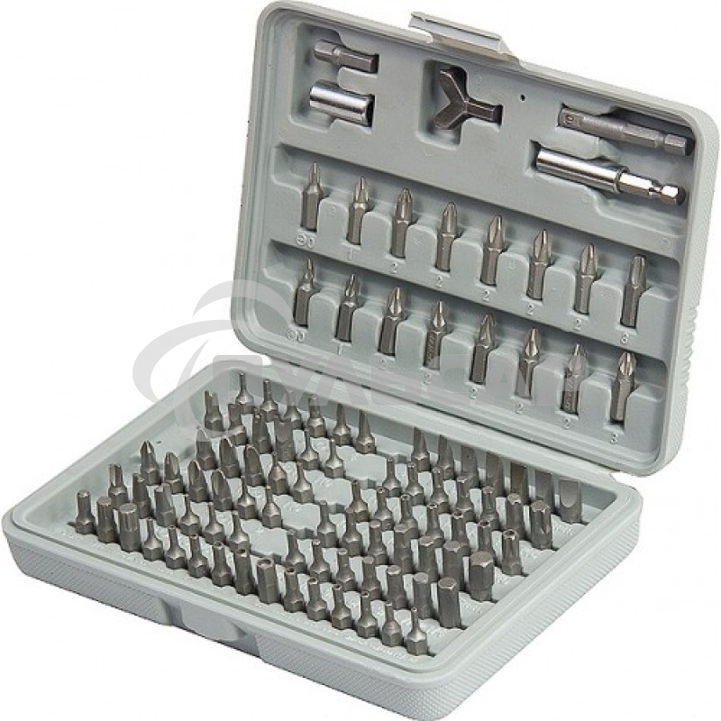Набор бит SPARTA 113975адаптеры для бит crv 100предм. в пласт. боксе